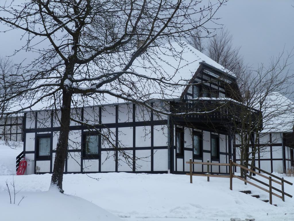 House Of Rootz Villa Frankenau Екстериор снимка